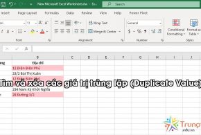 tim-va-xoa-cac-gia-tri-trung-lap-duplicate-value